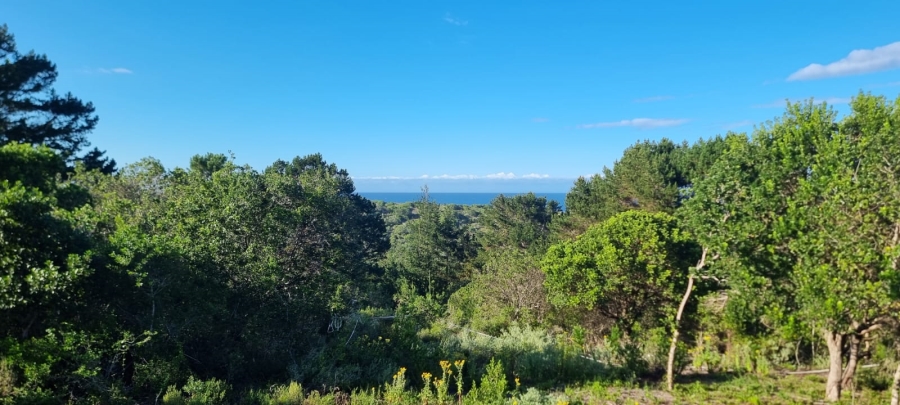 Commercial Property for Sale in Langvlei Dunes Western Cape